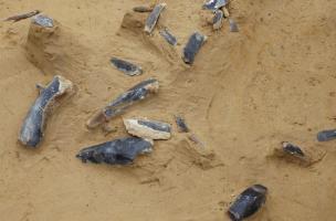 Découverte d'une statuette paléolithique à Amiens