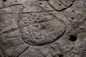 Saint-B&eacute;lec 53