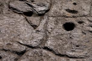 Saint-B&eacute;lec 55