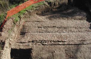 Mus&eacute;um d&rsquo;Histoire naturelle