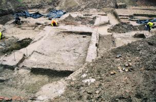 Mus&eacute;um d&rsquo;Histoire naturelle