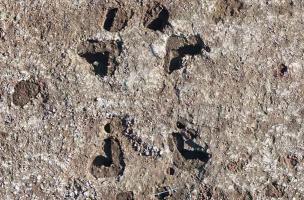 Poir&eacute;-sur-Velluire 1