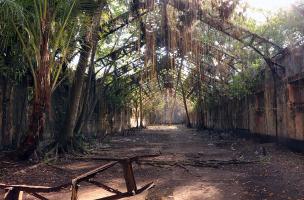 &icirc;le du Salut 4