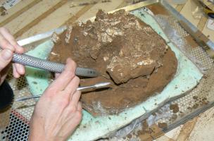 Fouille différée d’ossements humains incinérés