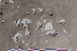 Saint-Barth&eacute;lemy 6