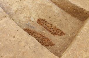 La Chapelle-des-Fougeretz 8