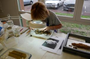 La Chapelle-des-Fougeretz 12