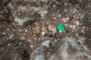 D&eacute;tail des phalanges du squelette d'un individu provenant d'une tombe princi&egrave;re dat&eacute;e du d&eacute;but du Ve si&egrave;cle avant notre &egrave;re, d&eacute;couverte dans un complexe fun&eacute;raire monumental exceptionnel, mis au jour &agrave; Lavau (Aube), 2015.