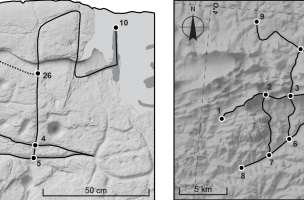 Saint-B&eacute;lec 27