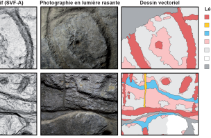 Saint-B&eacute;lec 20
