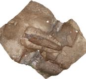 Vue zénithale de la sépulture 22 après la reconstruction photogrammétrique