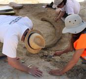 Dans les pas des mammouths de Montereau-sur-le-Jard  (Seine-et-Marne)