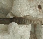 Entrée supérieure du souterrain, escalier d'accès