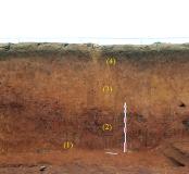 Détail de la coupe stratigraphique