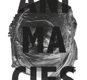 Exposition Animacies