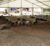 16 Rue Alfred Rambaud (Toulouse)