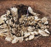 La structure 1 vue du sud-est.  Bois Saint-Antoine, Baillargues (Hérault), 2012-2013.    © Yaramila Tchérémissinoff, Inrap