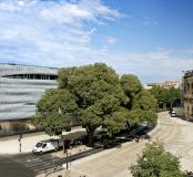 Le musée de la Romanité face aux arènes de Nimes