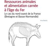 Recherches archéologiques 13