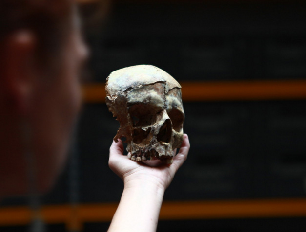 L'archéo-anthropologie funéraire